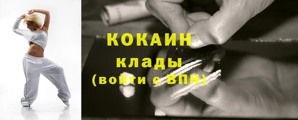 гидра Володарск