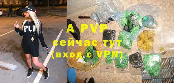 гидра Володарск