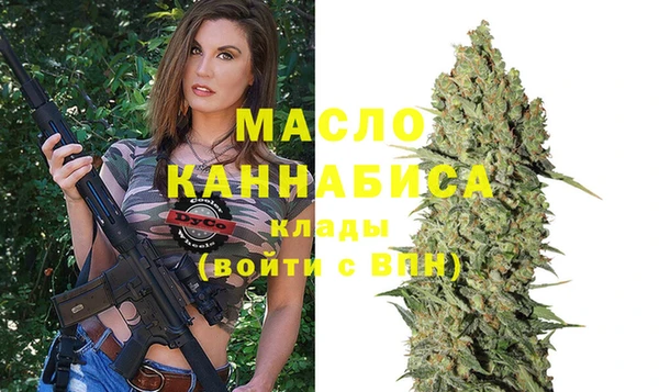 гидра Володарск