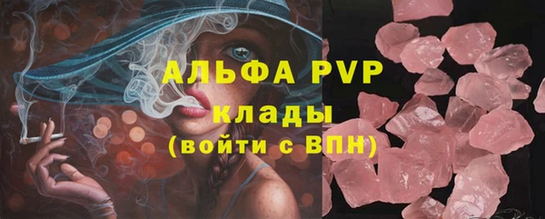 гидра Володарск